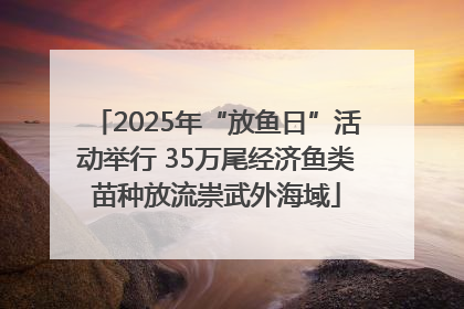 2025年“放鱼日”活动举行 35万尾经济鱼类苗种放流崇武外海域