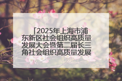 2025年上海市浦东新区社会组织高质量发展大会暨第二届长三角社会组织高质量发展峰会成功举办
