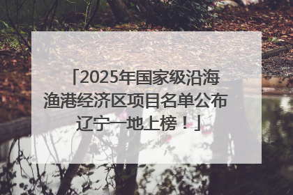 2025年国家级沿海渔港经济区项目名单公布 辽宁一地上榜！
