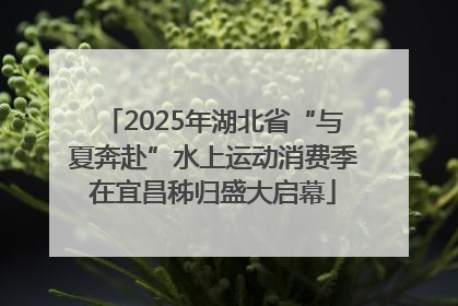 2025年湖北省“与夏奔赴”水上运动消费季在宜昌秭归盛大启幕