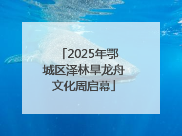 2025年鄂城区泽林旱龙舟文化周启幕