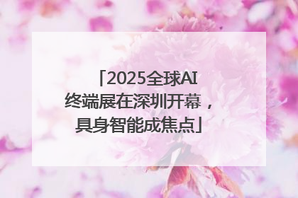 2025全球AI终端展在深圳开幕，具身智能成焦点