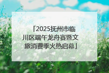 2025抚州市临川区端午龙舟赛暨文旅消费季火热启幕
