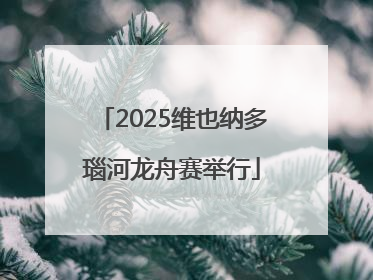 2025维也纳多瑙河龙舟赛举行