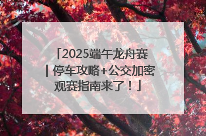 2025端午龙舟赛｜停车攻略+公交加密 观赛指南来了！