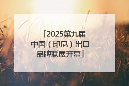2025第九届中国（印尼）出口品牌联展开幕