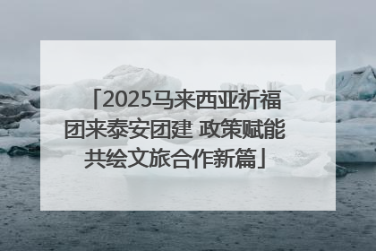 2025马来西亚祈福团来泰安团建 政策赋能共绘文旅合作新篇