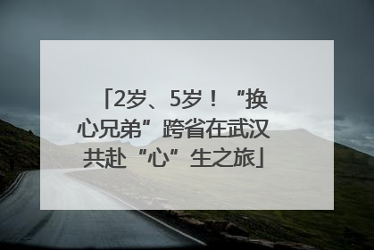 2岁、5岁！“换心兄弟”跨省在武汉共赴“心”生之旅
