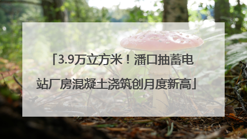 3.9万立方米！潘口抽蓄电站厂房混凝土浇筑创月度新高