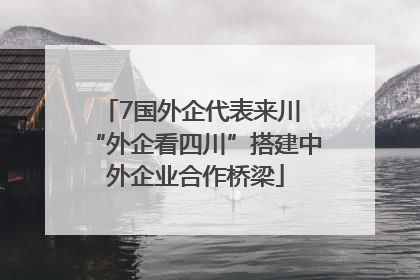 7国外企代表来川 “外企看四川”搭建中外企业合作桥梁