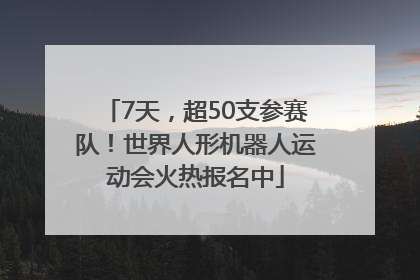 7天，超50支参赛队！世界人形机器人运动会火热报名中