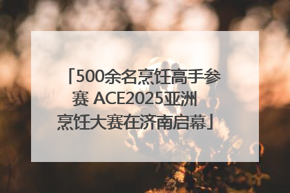 500余名烹饪高手参赛 ACE2025亚洲烹饪大赛在济南启幕