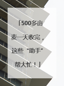 500多亩麦一天收完，这些“助手”帮大忙！