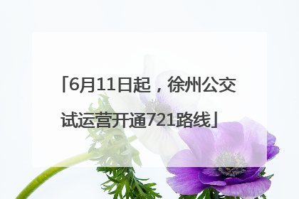 6月11日起，徐州公交试运营开通721路线