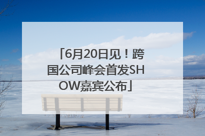 6月20日见!跨国公司峰会首发SHOW嘉宾公布