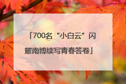 700名“小白云”闪耀南博续写青春答卷