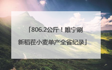806.2公斤！睢宁刷新稻茬小麦单产全省纪录