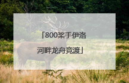 800桨手伊洛河畔龙舟竞渡