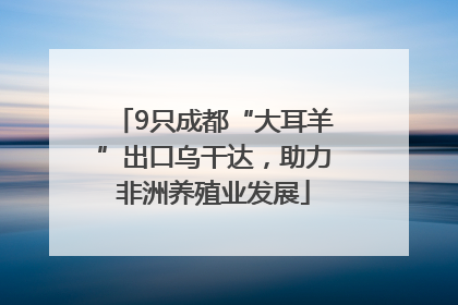 9只成都“大耳羊”出口乌干达，助力非洲养殖业发展