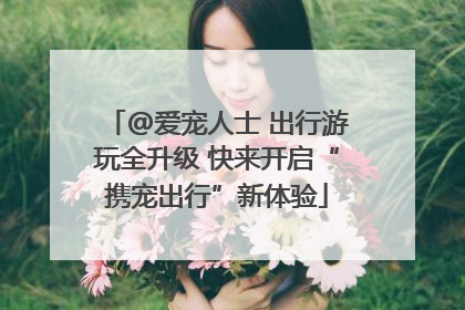 @爱宠人士 出行游玩全升级 快来开启“携宠出行”新体验