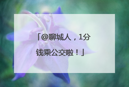 @聊城人，1分钱乘公交啦！