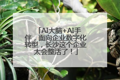AI大脑+AI手伴，面向企业数字化转型，长沙这个企业太会整活了！