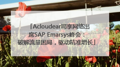 Acloudear司享网络出席SAP Emarsys峰会：破解流量困局，驱动精准增长