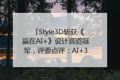 Style3D斩获《赢在AI+》设计赛道冠军，评委点评：AI+3D技术世界第一